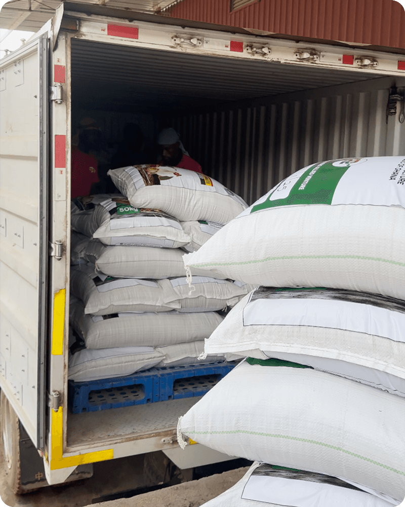 Nkoko Nketenkete Poultry Feed arranged